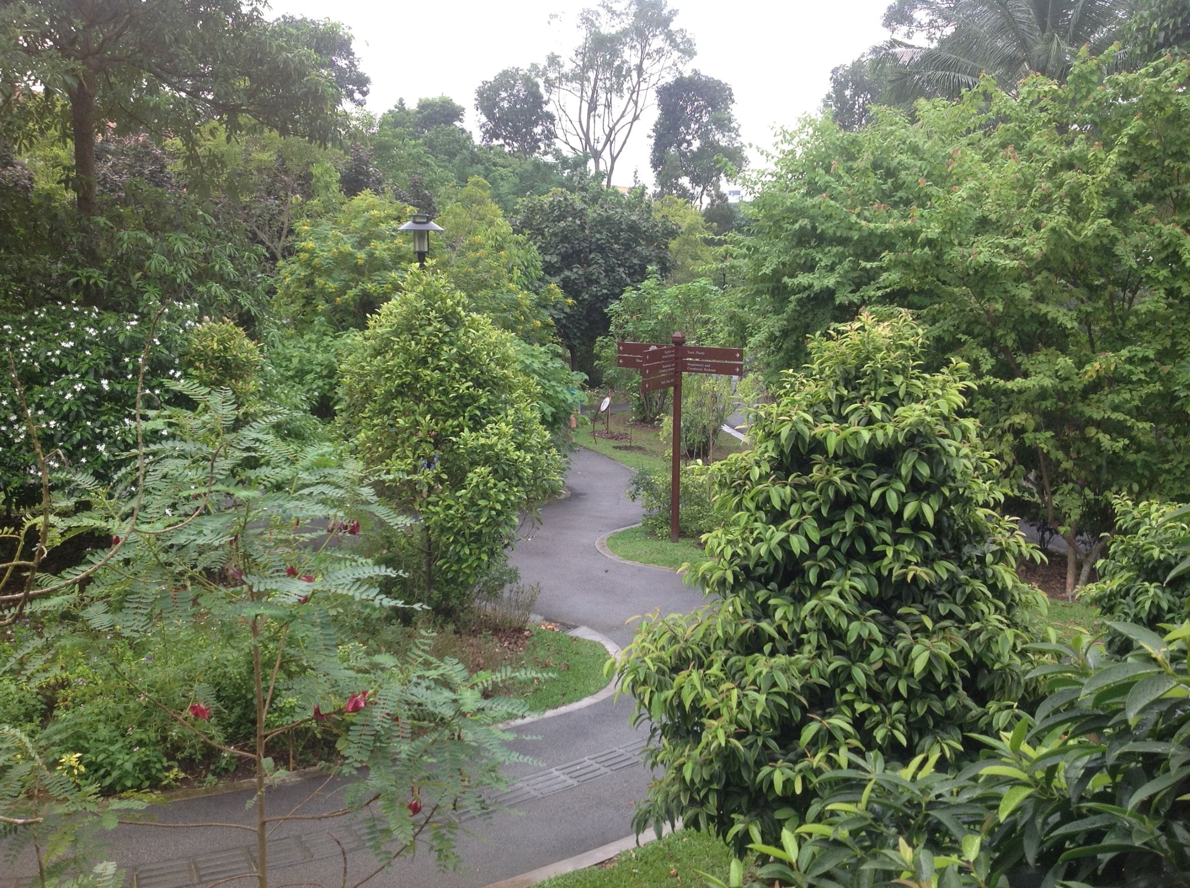 Healing Garden Tour